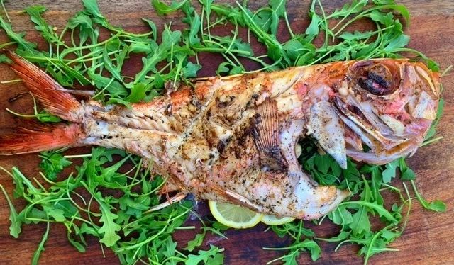 cooking fish on bbq 03