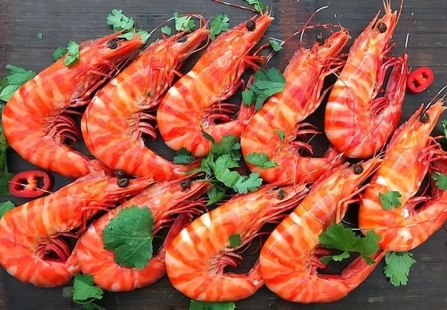 prawn avocado salade 02