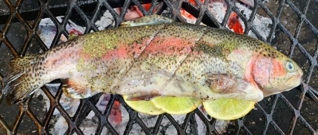 grill fish like a boss 02